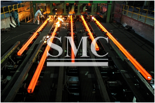 2010 - 2016 - Shanghai Metal Corporation