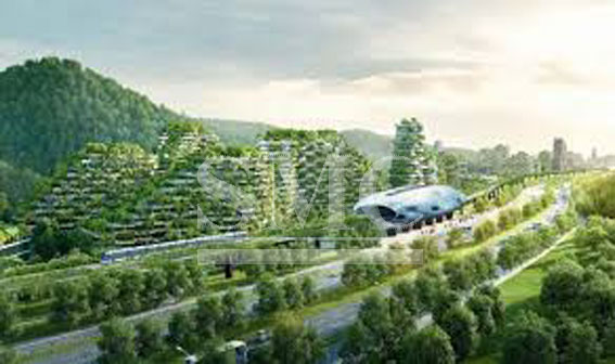 Forest City Fighting Pollution