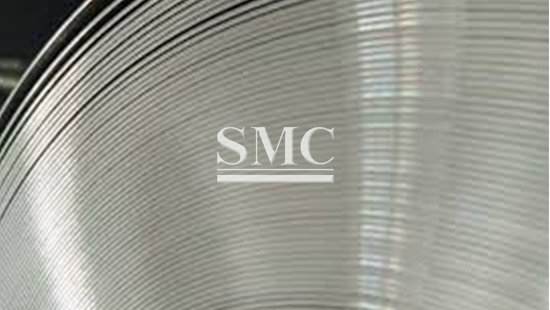 Professional Stainless Steel Strip Supplier