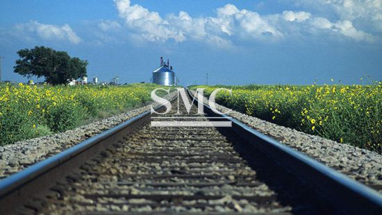 Do You Know the Origin of the Train Rail Standard?